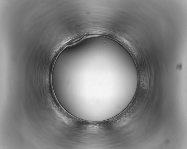 X0000093590394200710291127