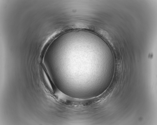 X0000093590395200710291127