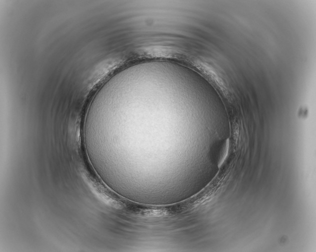 X0000093590398200710291127