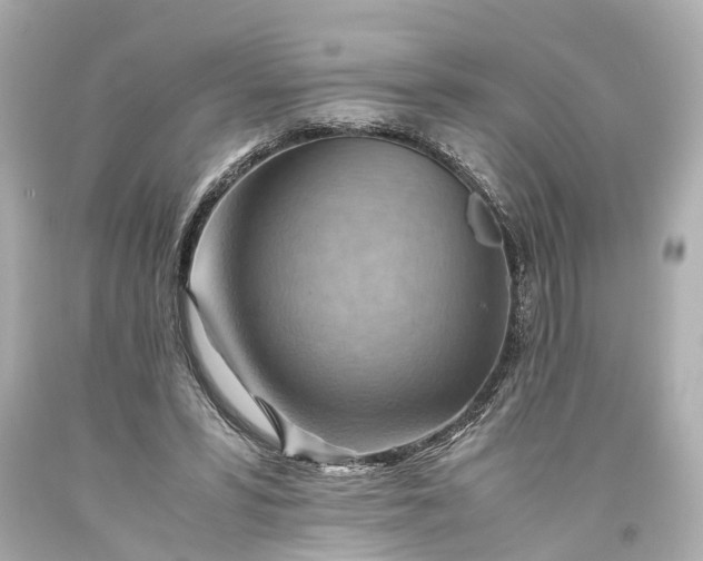 X0000093590399200710291127
