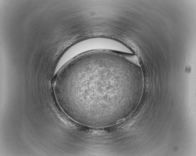 X0000093590401200710291127