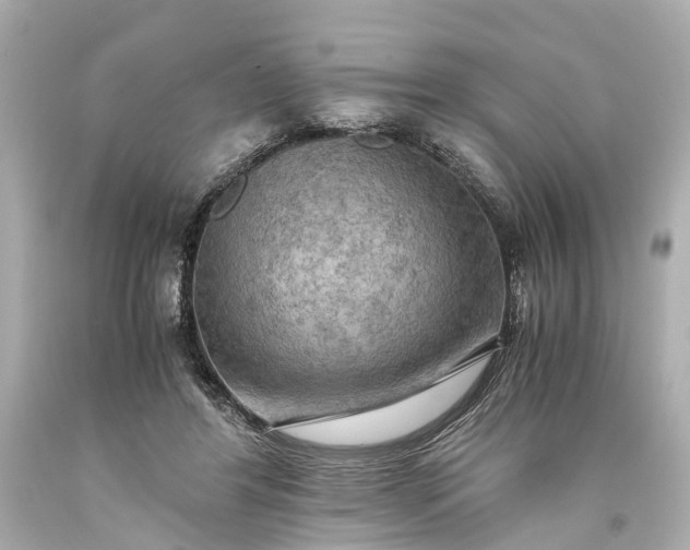 X0000093590404200710291127