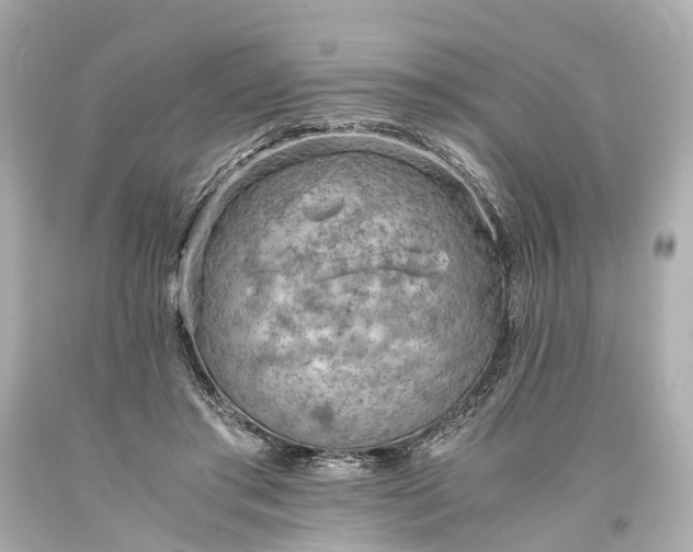 X0000093590405200710291126