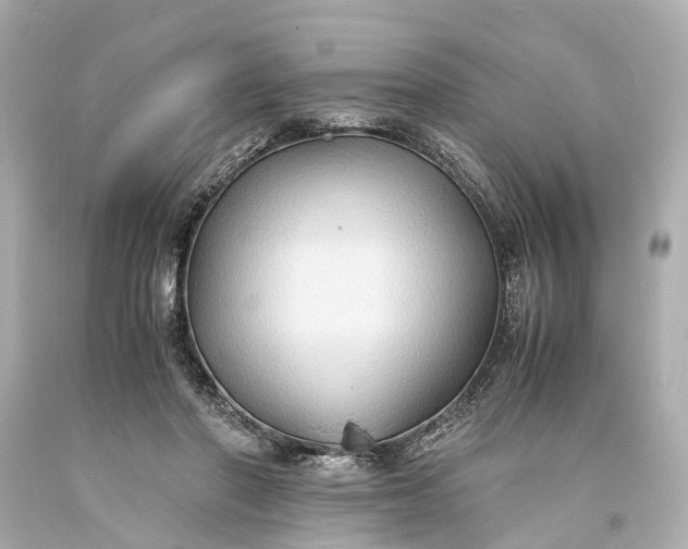 X0000093590406200710291126
