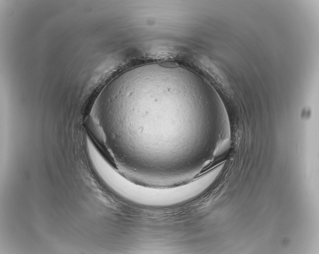 X0000093590407200710291126