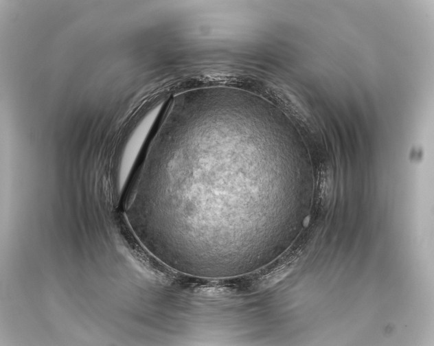 X0000093590408200710291126