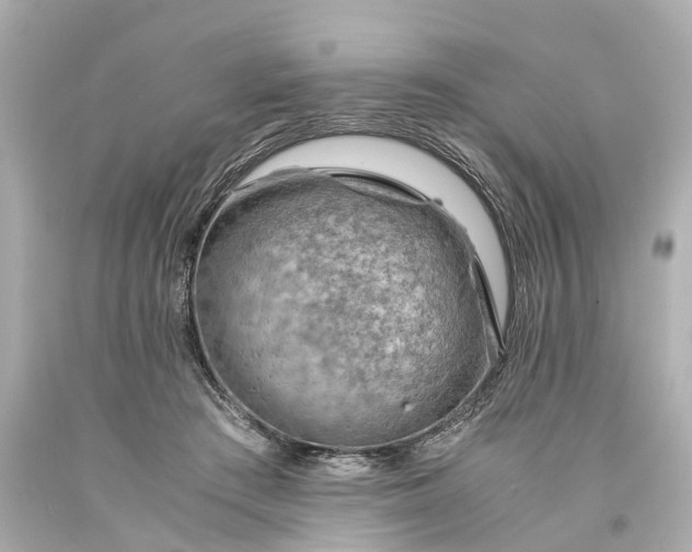 X0000093590409200710291126