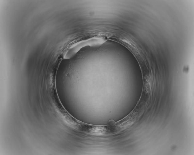 X0000093590410200710291126