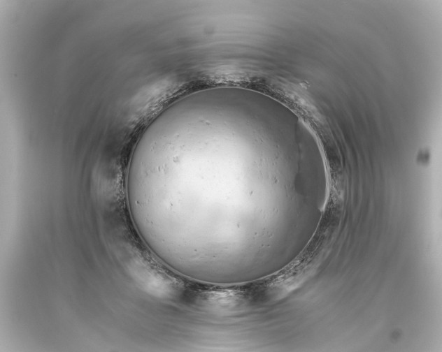 X0000093590411200710291126