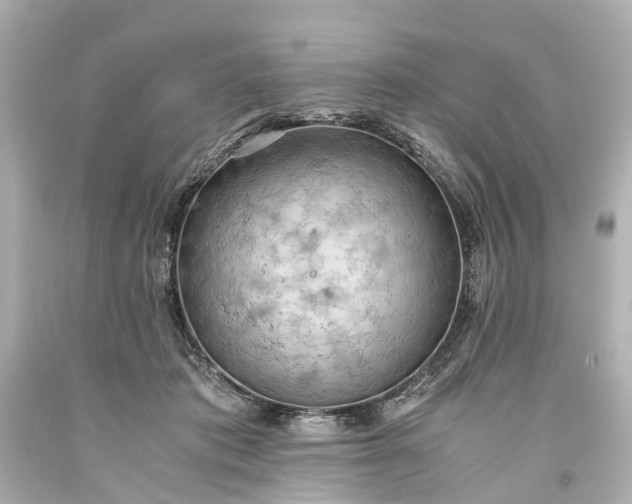 X0000093590413200710291126