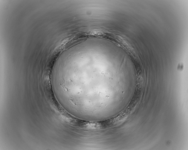 X0000093590415200710291126
