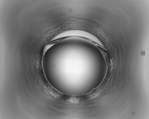 X0000093590416200710291126