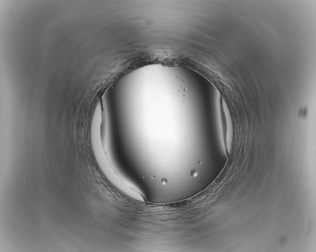X0000093590417200710291126