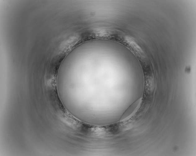 X0000093590419200710291126