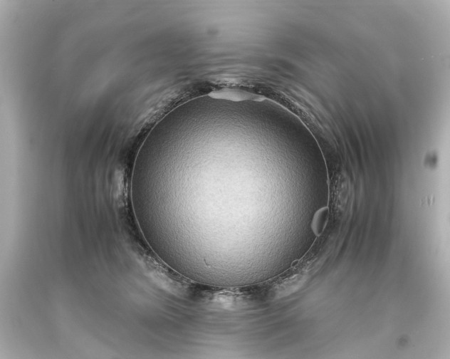 X0000093590420200710291126