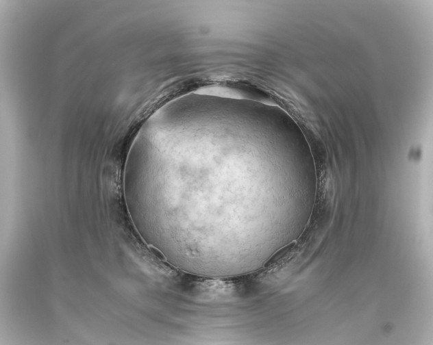 X0000093590421200710291126