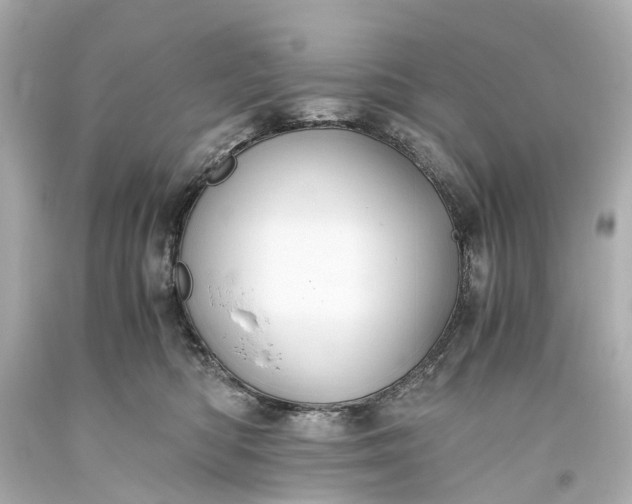 X0000093590422200710291126