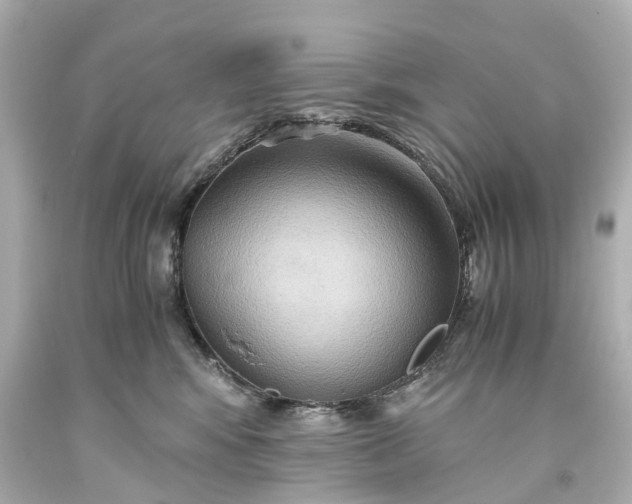 X0000093590424200710291126