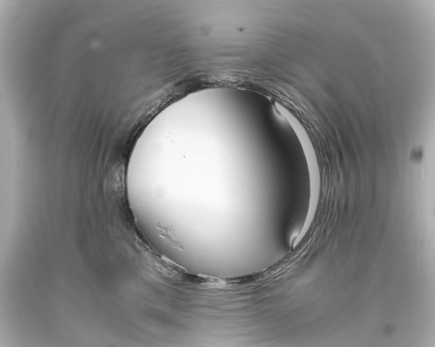 X0000093590425200710291126