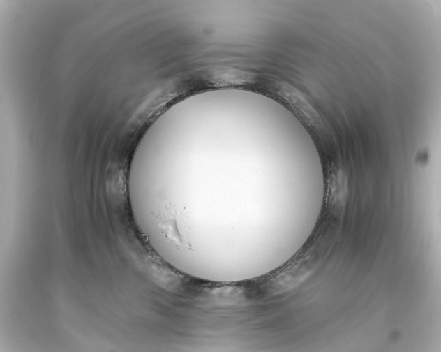 X0000093590426200710291126