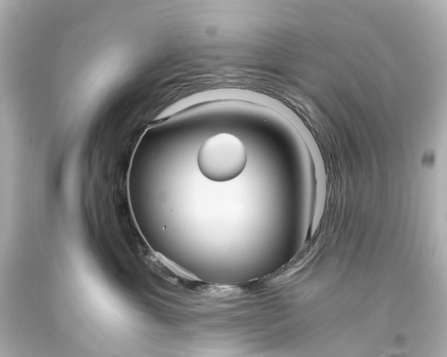 X0000093590429200710291126