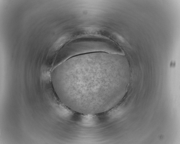 X0000093590432200710291126