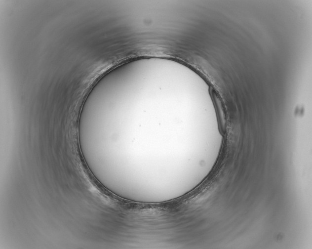 X0000093590433200710291126