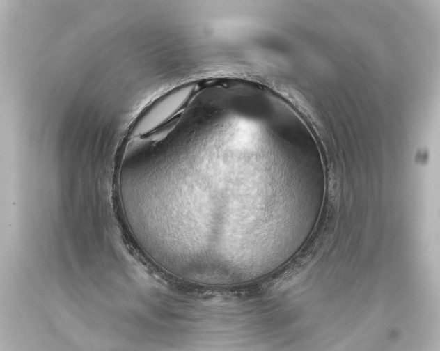X0000093590434200710291126