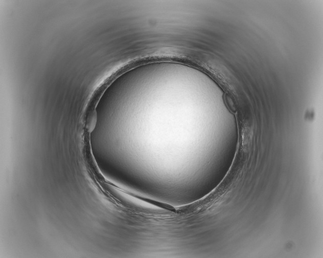 X0000093590436200710291126