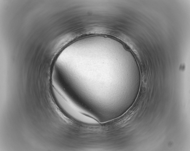 X0000093590437200710291126