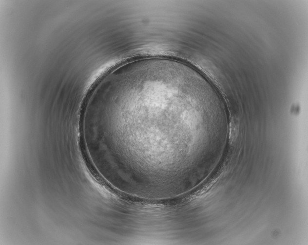 X0000093590438200710291126