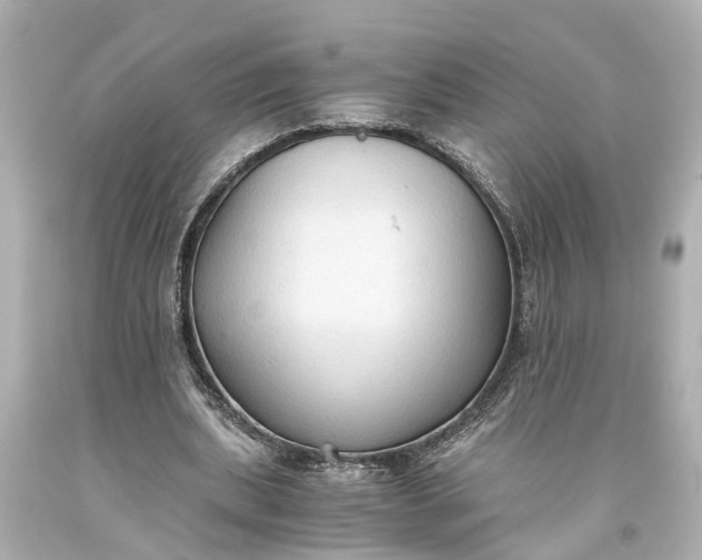 X0000093590439200710291126