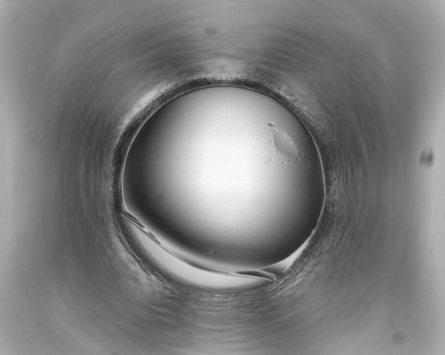 X0000093590440200710291126