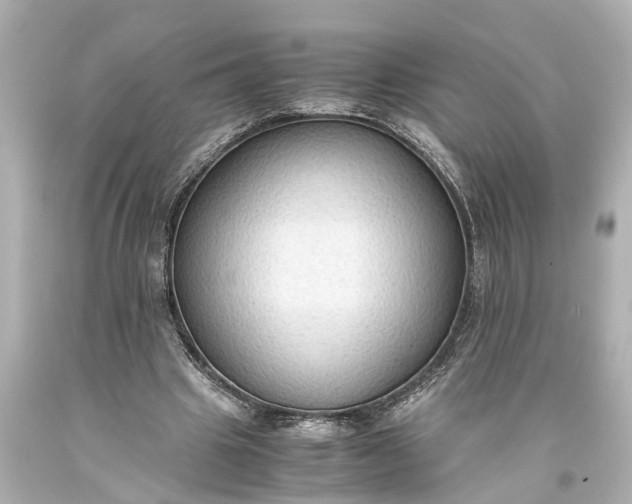 X0000093590441200710291126