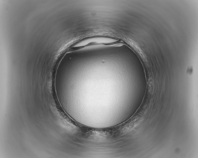 X0000093590442200710291126