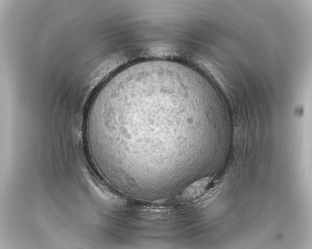 X0000093590443200710291126