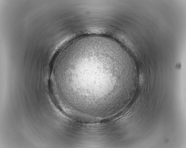X0000093590444200710291126