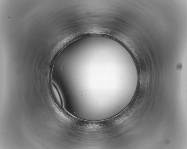 X0000093590445200710291126