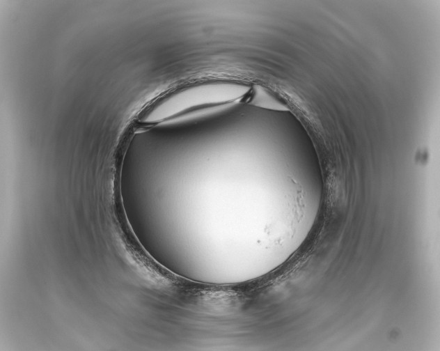 X0000093590446200710291126