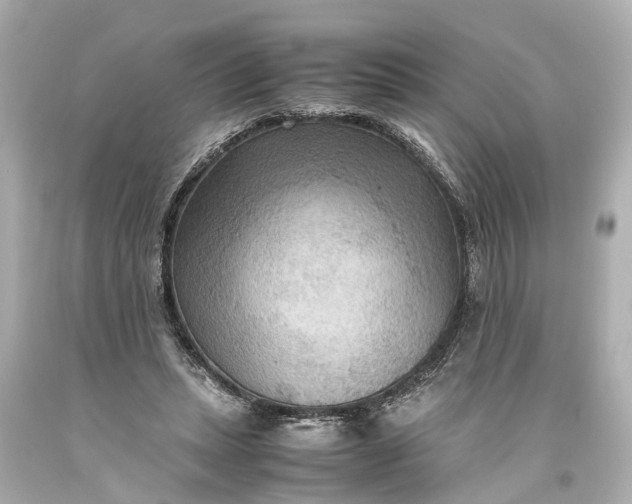 X0000093590447200710291126