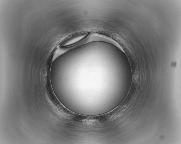 X0000093590448200710291126