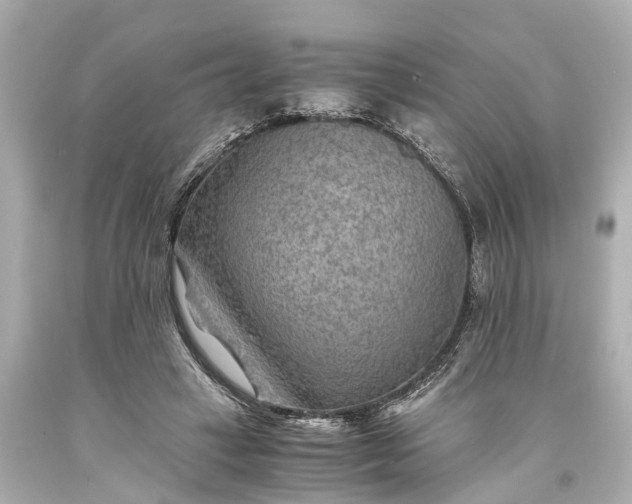 X0000093590449200710291126