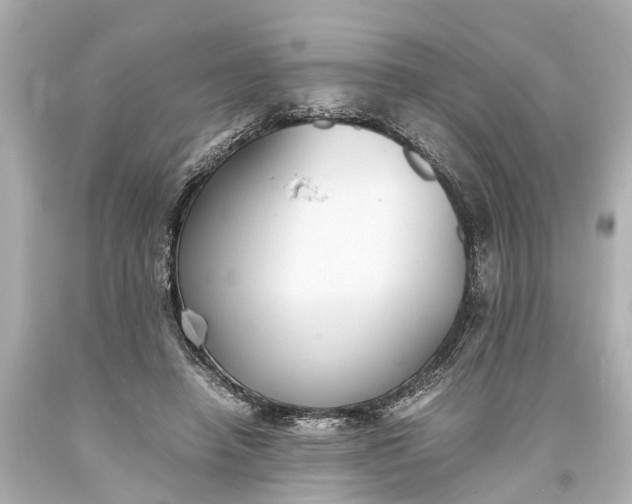 X0000093590450200710291126