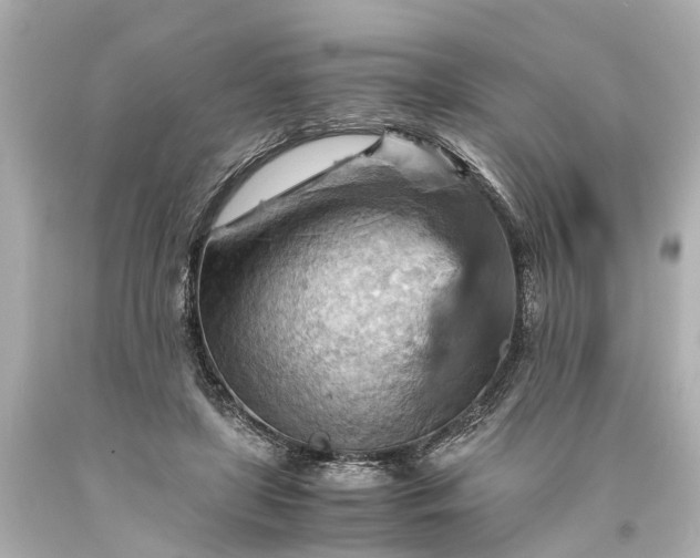 X0000093590451200710291126