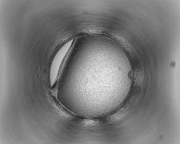 X0000093590453200710291126