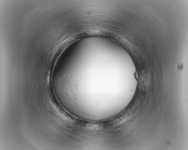 X0000093590454200710291126