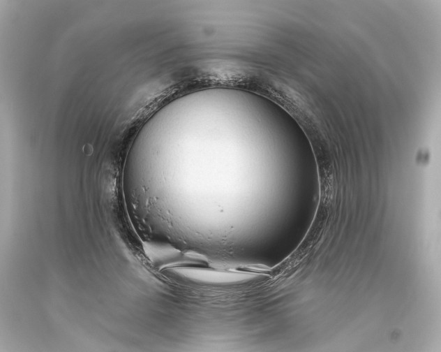 X0000093590456200710291126