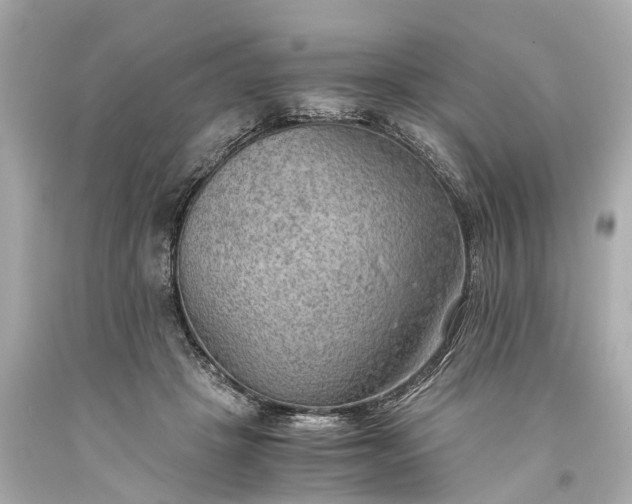 X0000093590457200710291126