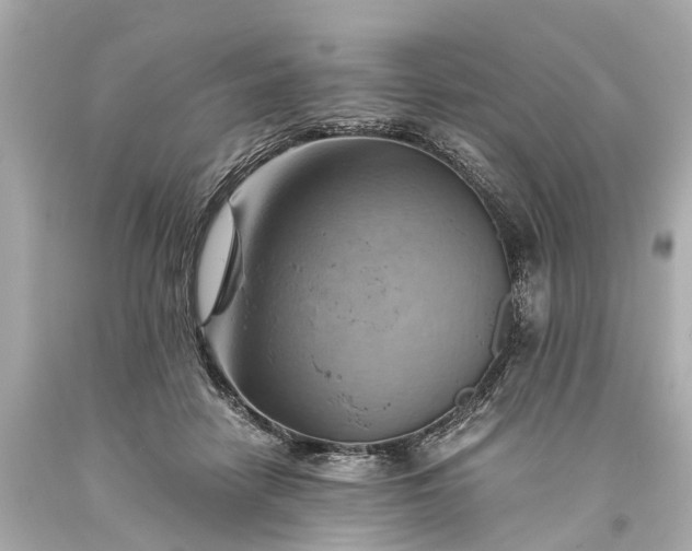 X0000093590458200710291126