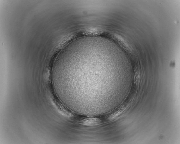 X0000093590459200710291126